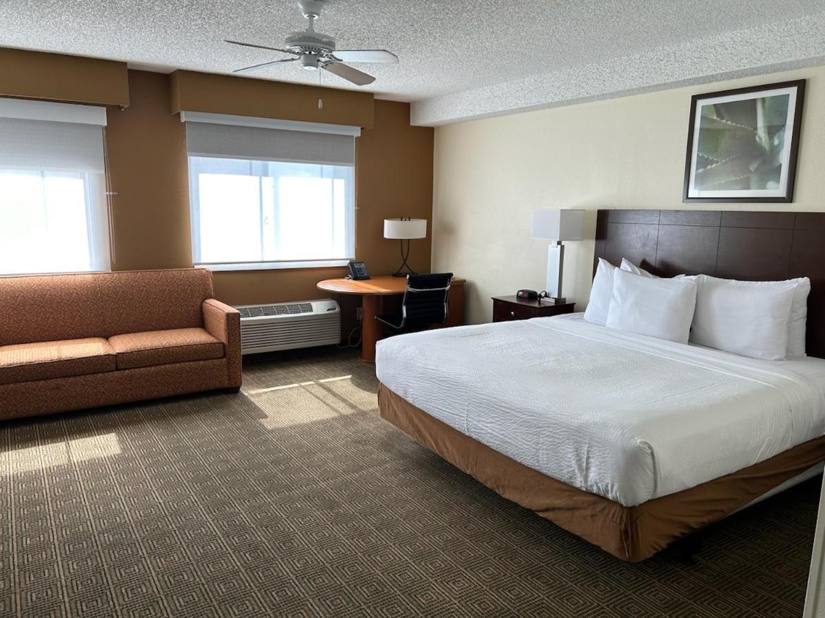 Готель La Quinta By Wyndham Orlando South Williamsburg Екстер'єр фото