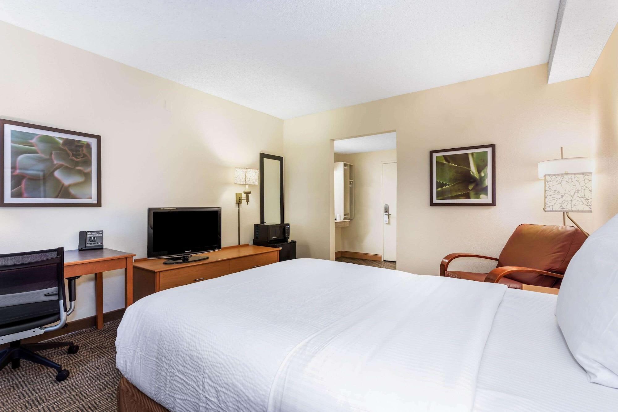 Готель La Quinta By Wyndham Orlando South Williamsburg Екстер'єр фото